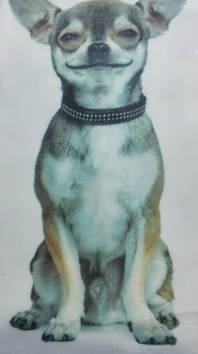 Katrina Dixon Photo 20