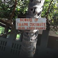 Rebecca Jenkins Photo 47