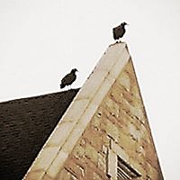 Julie Dupuis Photo 11