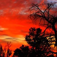 Robin Gorman Photo 14