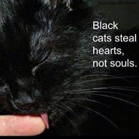 Dawn Newman Photo 15