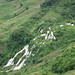Son Cao Photo 24