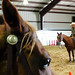 Jennifer Schenck Photo 7