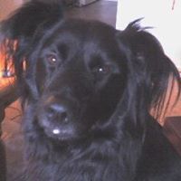 Marty Jaeger Photo 6