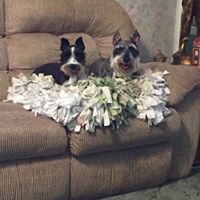 Kathleen Westphal Photo 7