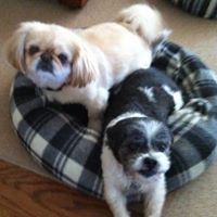 Caroline Cheek Photo 18