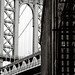 Amy Shulman Photo 17