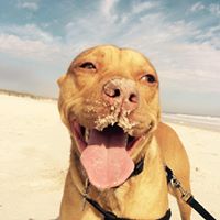 Christine Bodnar Photo 11