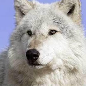 April Corey Photo 16