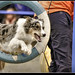 Cindy Borders Photo 29