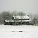 Terri Robertson Photo 43