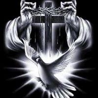 Scott Lewis Photo 24