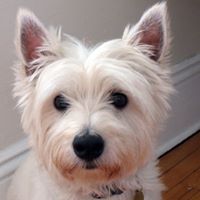 Barbara Stroup Photo 10