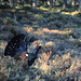Heather Abernethy Photo 7
