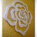 Flora Paredes Photo 9