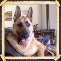 Jill Griffiths Photo 26