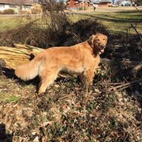 Ann Capps Photo 27