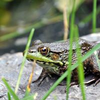 David Dunsmore Photo 10