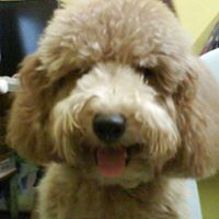 Jacob Tai Photo 3