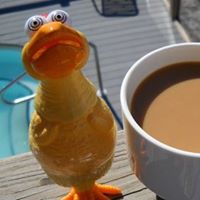 Wendy Frederick Photo 30