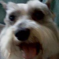 Russell Turner Photo 6 Russell Turner Photo 6