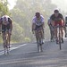 Shane Andrews Photo 21