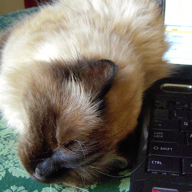 Joan Douglas Photo 34