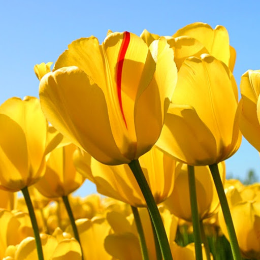 Victoria Stevens Photo 37