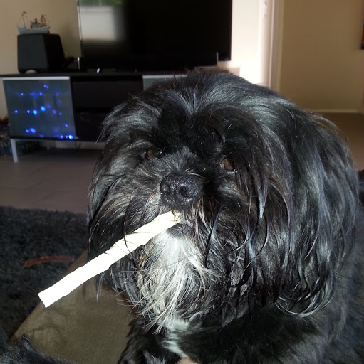 Gregory Mccarthy Photo 12