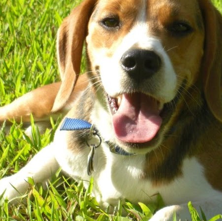 Robyn Brennan Photo 8