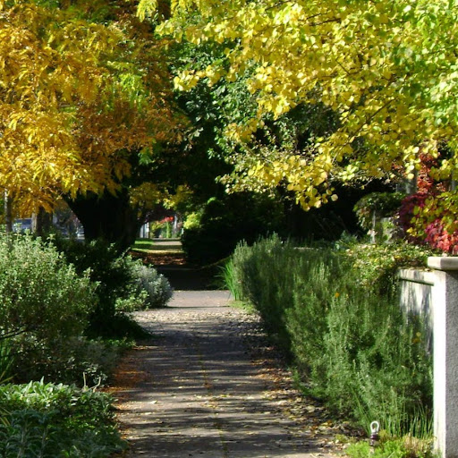 Anthony Barker Photo 27 Anthony Barker Photo 27