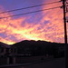 Dawn Bray Photo 15