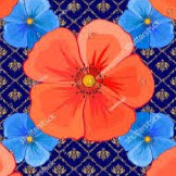 Elisabeth Anderson Photo 35