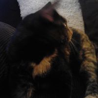 Carol Speakman Photo 2