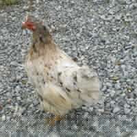 Nancy Mcdermott Photo 14