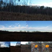 Regina Stephens Photo 14