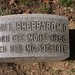 June Sheppard Photo 10