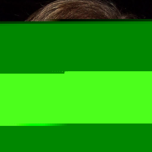 Theresa Fitzpatrick Photo 37