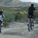Alex Salas Photo 9