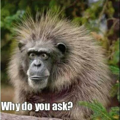 David Garman Photo 31 David Garman Photo 31