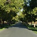 Cindy Rutherford Photo 28