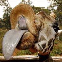 Carolyn Tidwell Photo 25