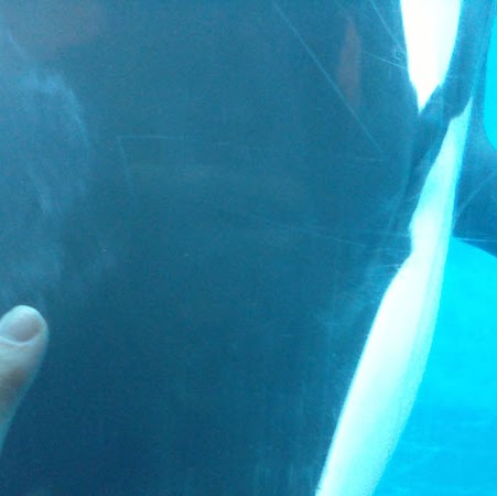 Jesse Draper Photo 6