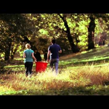 Daniel Stine Photo 1