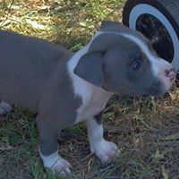 Victor Turner Photo 33