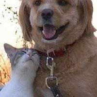 Jean Hartman Photo 14