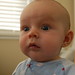 Reese Harper Photo 23