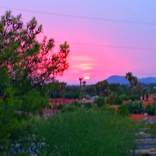 Barbara Lyons Photo 20 Barbara Lyons Photo 20