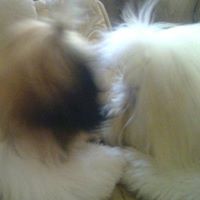 Teddy Valencia Photo 4