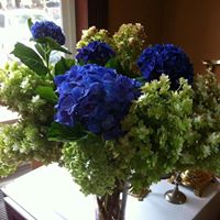 Martha Aldridge Photo 19